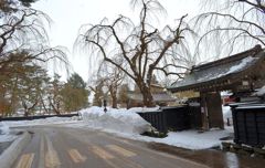 Street corner
