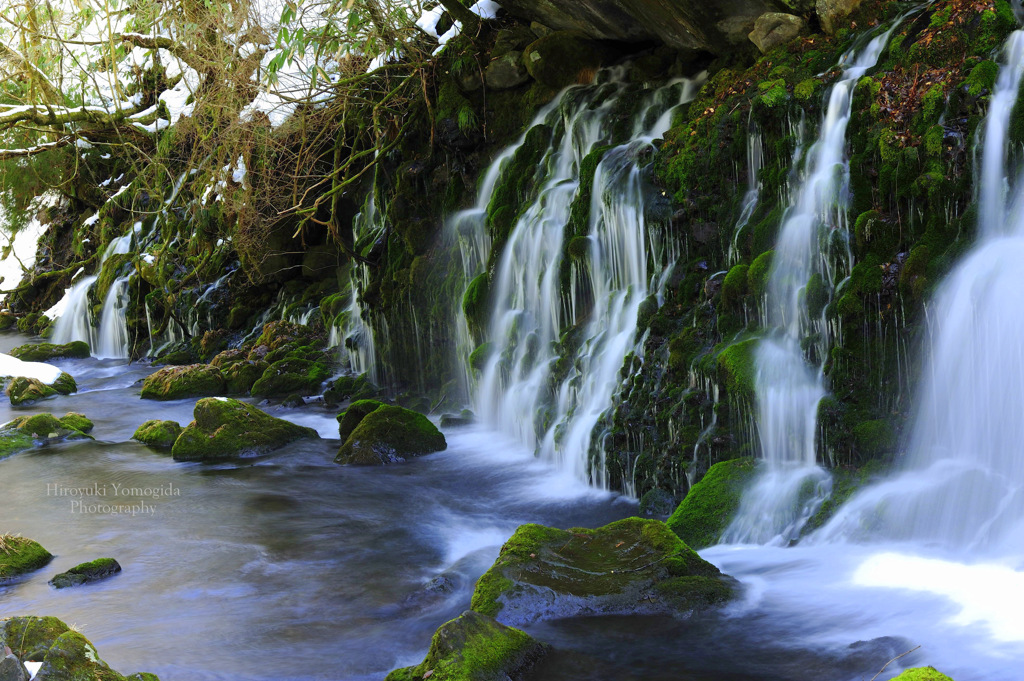 The charm of nature...