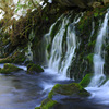 The charm of nature...