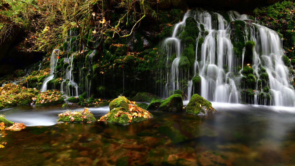 Beautiful nature...