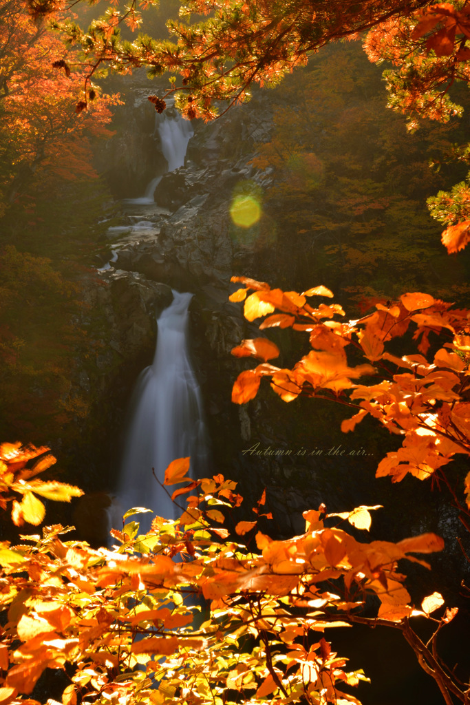 Autumn is in the air...