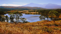 Today's autumn landscape...