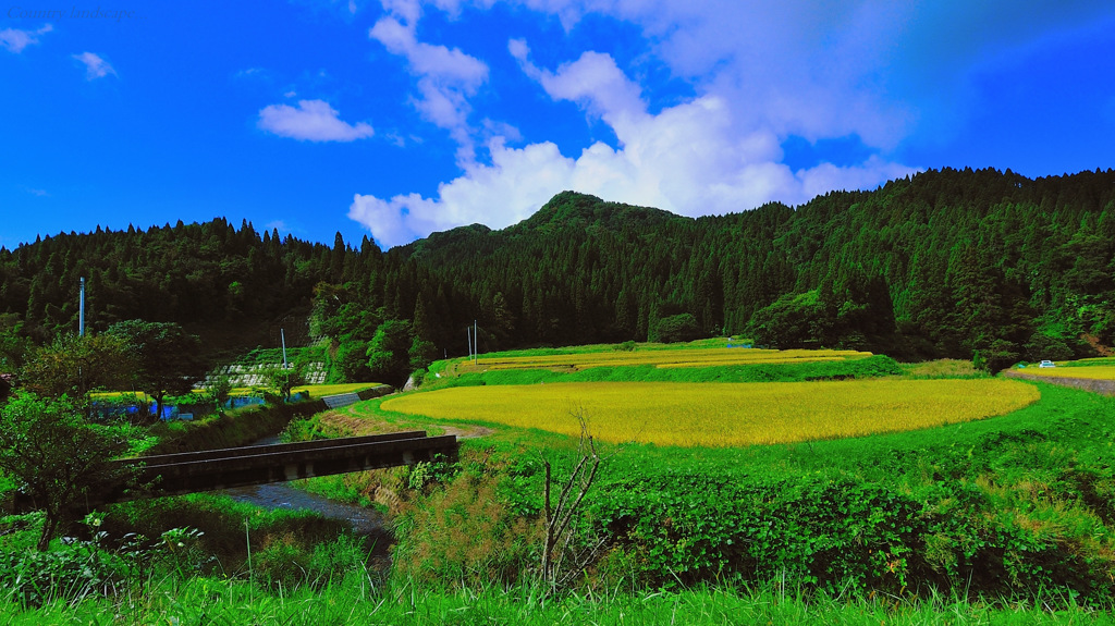 Country Landscapes...