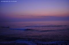 The moon in the dusk