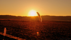 A brand new day begins!