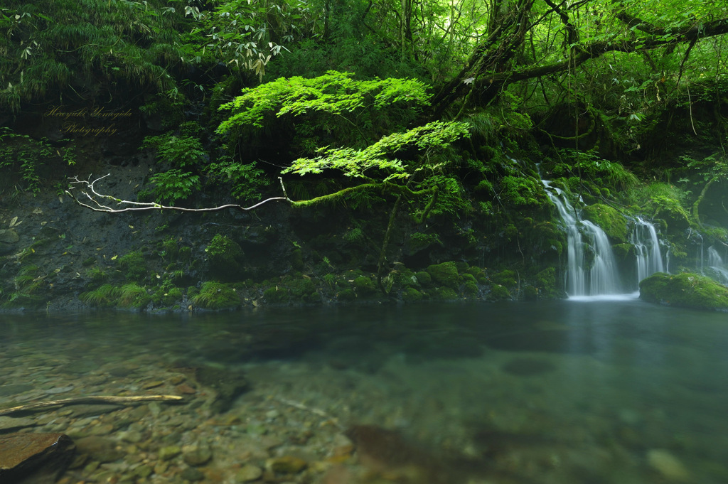 Crystal clear nature...