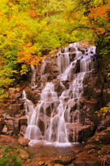 nature stream...