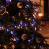 Warmth Christmas...