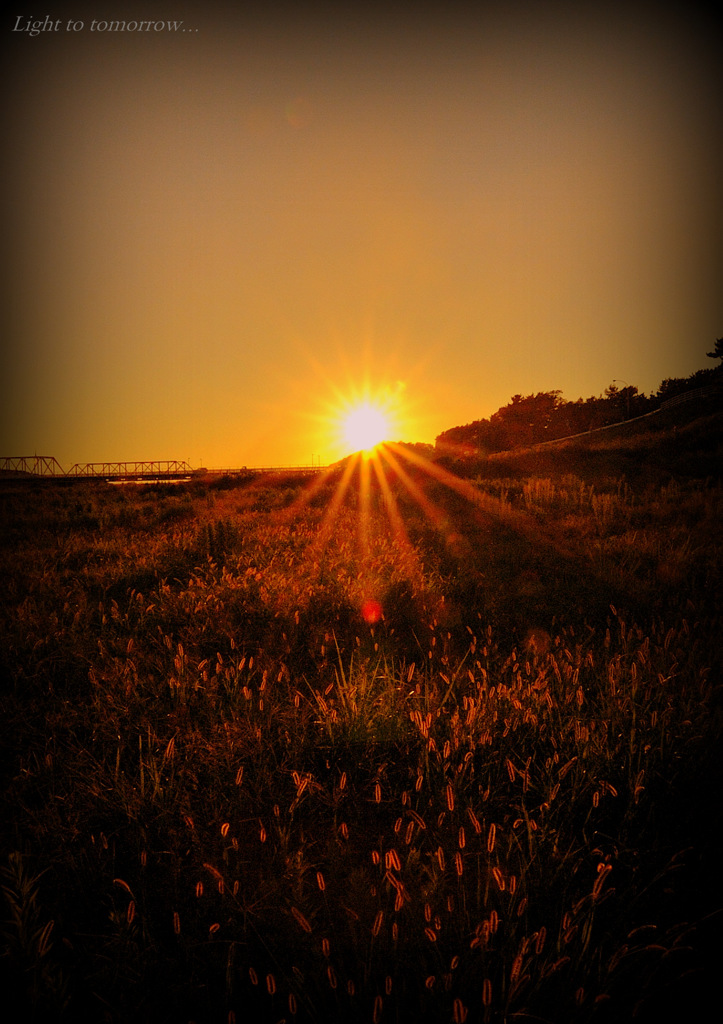 Light to tomorrow...