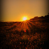 Light to tomorrow...