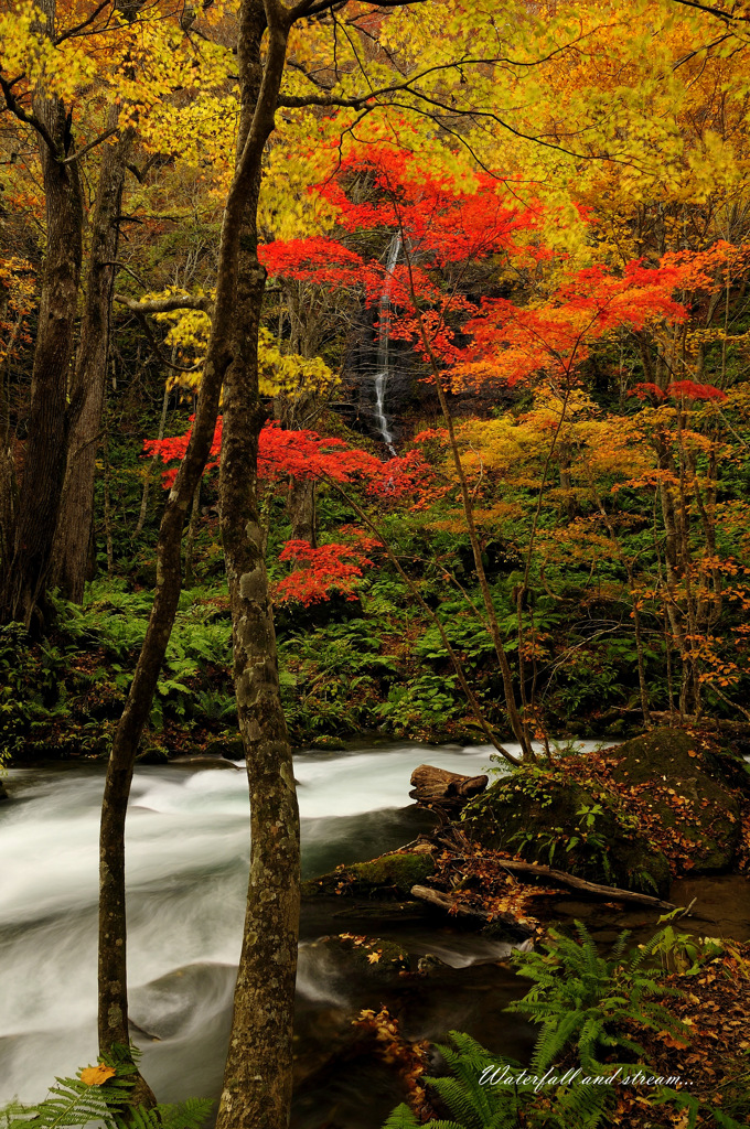 Waterfall and stream...