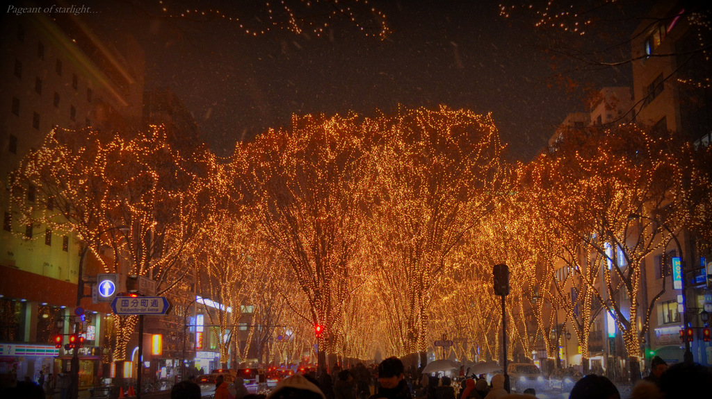 Pageant of starlight...