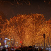 Pageant of starlight...