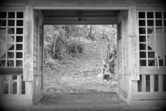 road approaching a shrine...