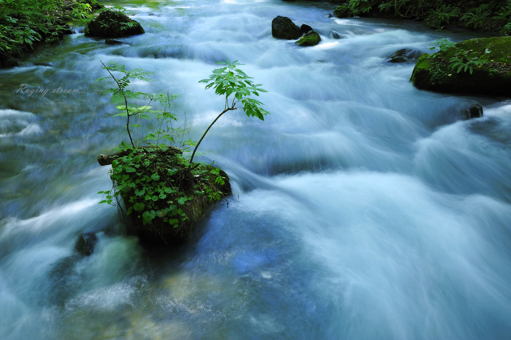 Raging stream...