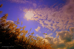 Sky high ...