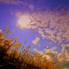 Sky high ...