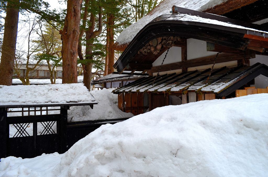 Coexistence with the snow