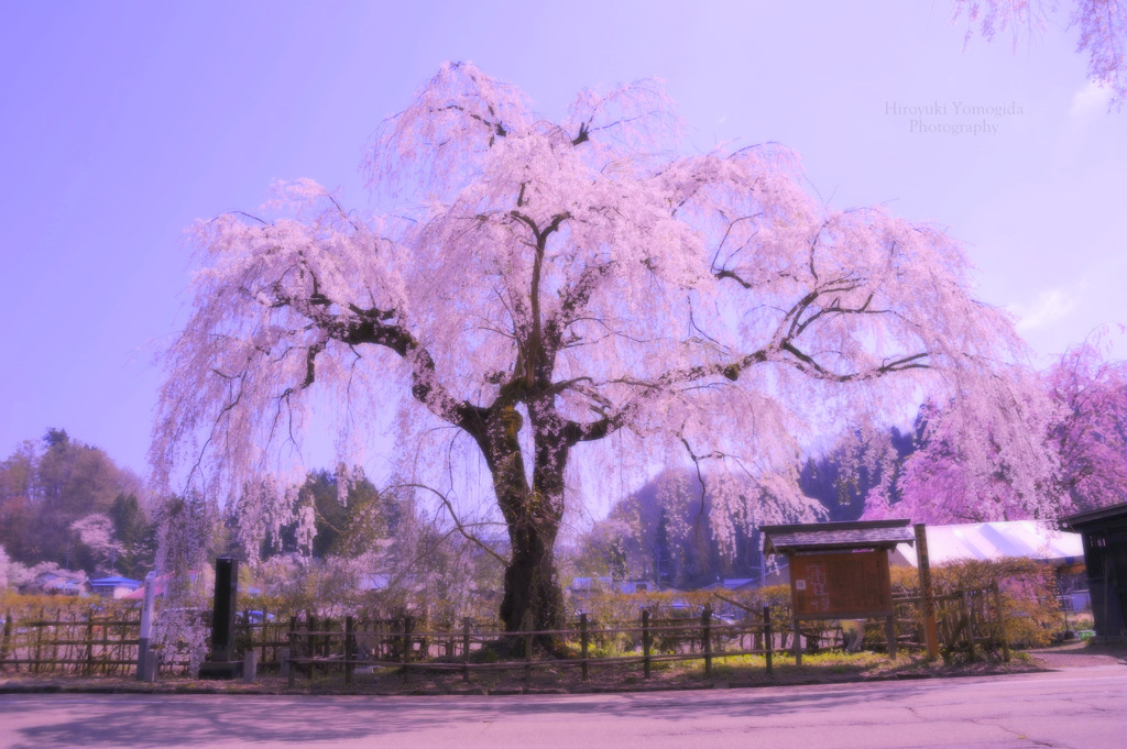 Beautiful spring...