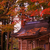 Sacred autumn...