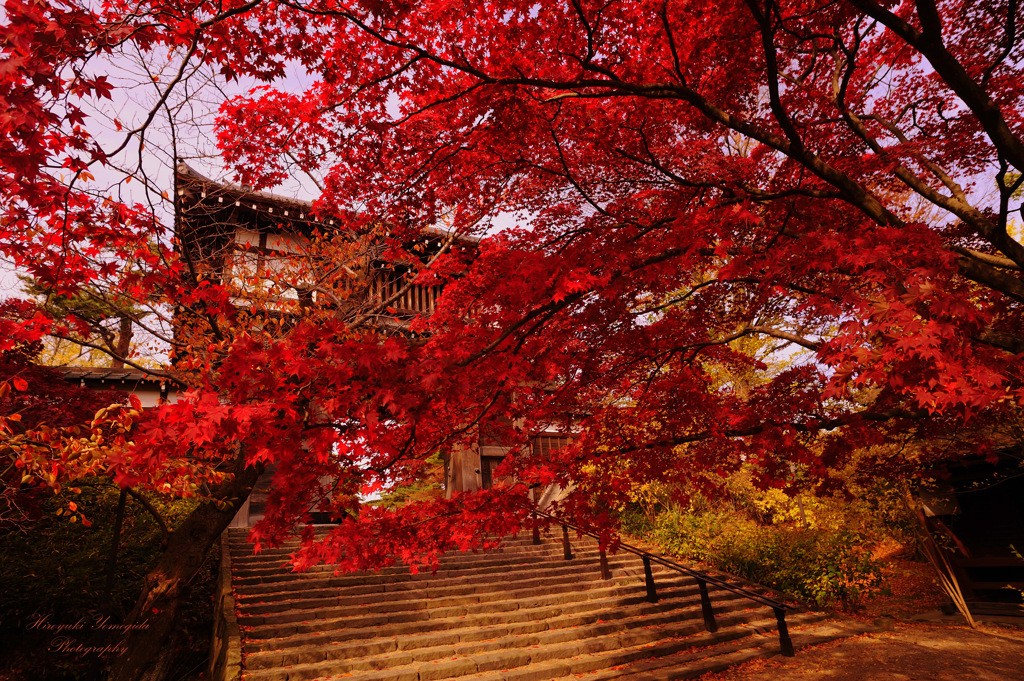 Gate of bewitching...