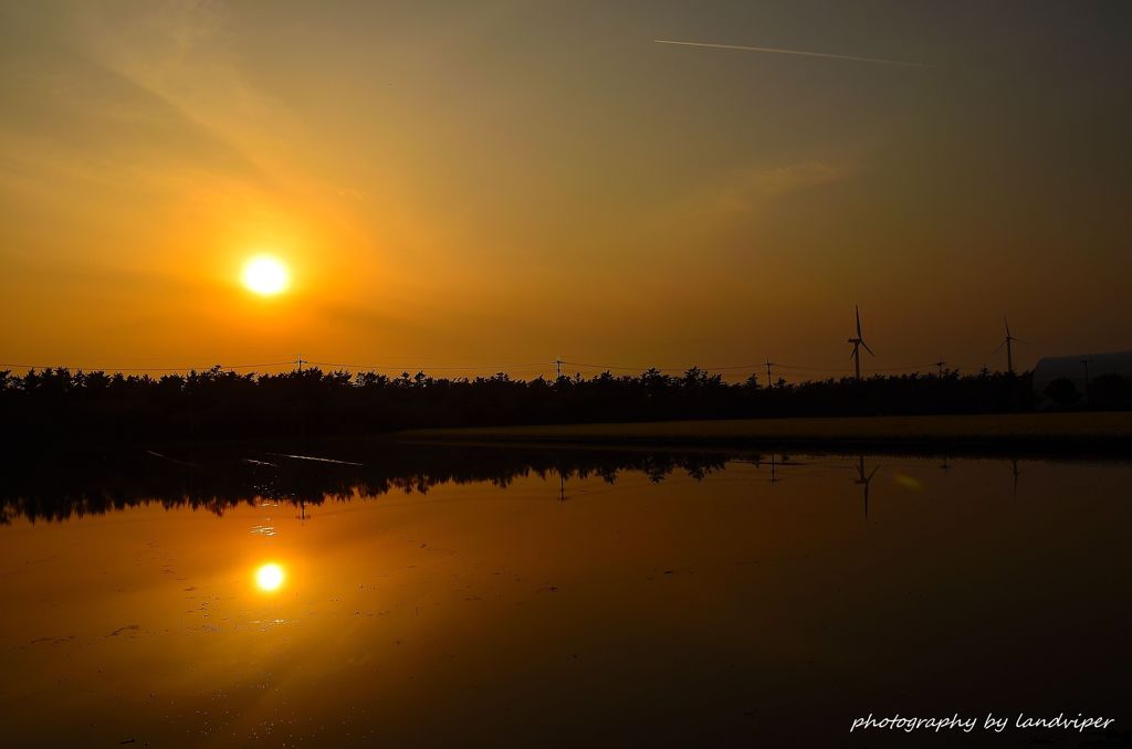 Mirror of the surface of the water