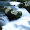 Spring stream...