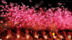 Fireworks of full bloom...