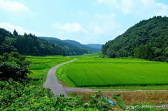 どこまでも続く田園