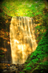 waterfall of gold...