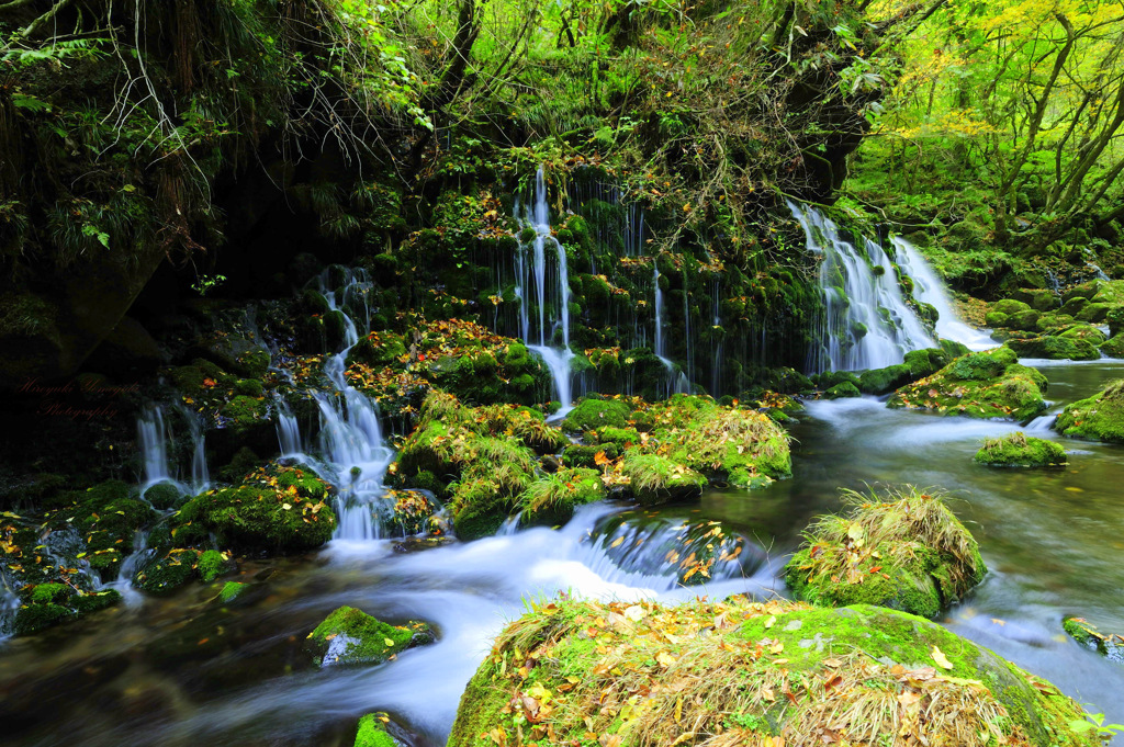 Beautiful nature...
