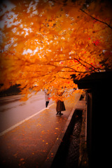 Longing moment...