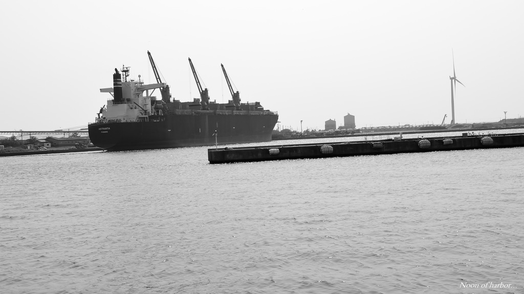 Noon of harbor...
