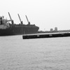Noon of harbor...