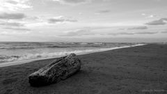reverberation...