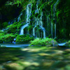Beautiful spring water...