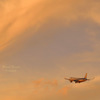 Fly high...