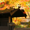 Autumn of samurai residence...