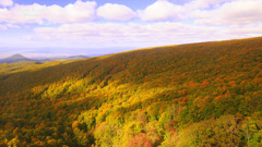 The end of autumn soon...