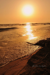 Golden twilight...