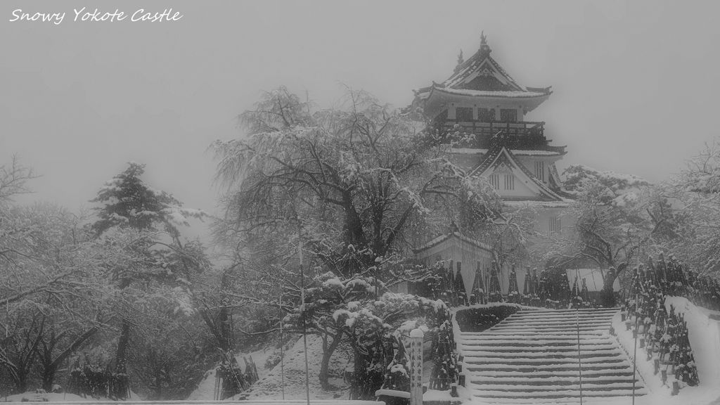 Yokote Castle of snow