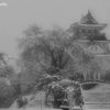 Yokote Castle of snow