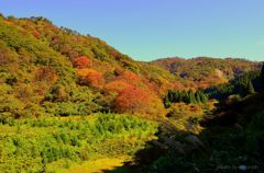 This year's autumn was beautiful ...