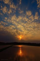Today's sunset...