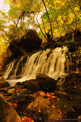 falls of autumn color...