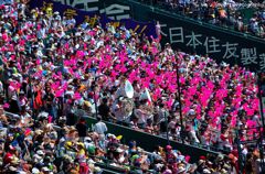 Close game Koshien