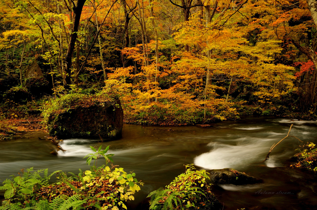 Autumn stream...