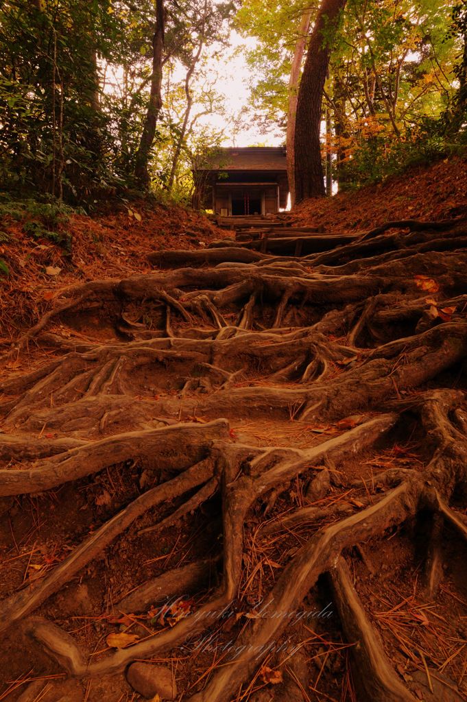 Stairway to history...