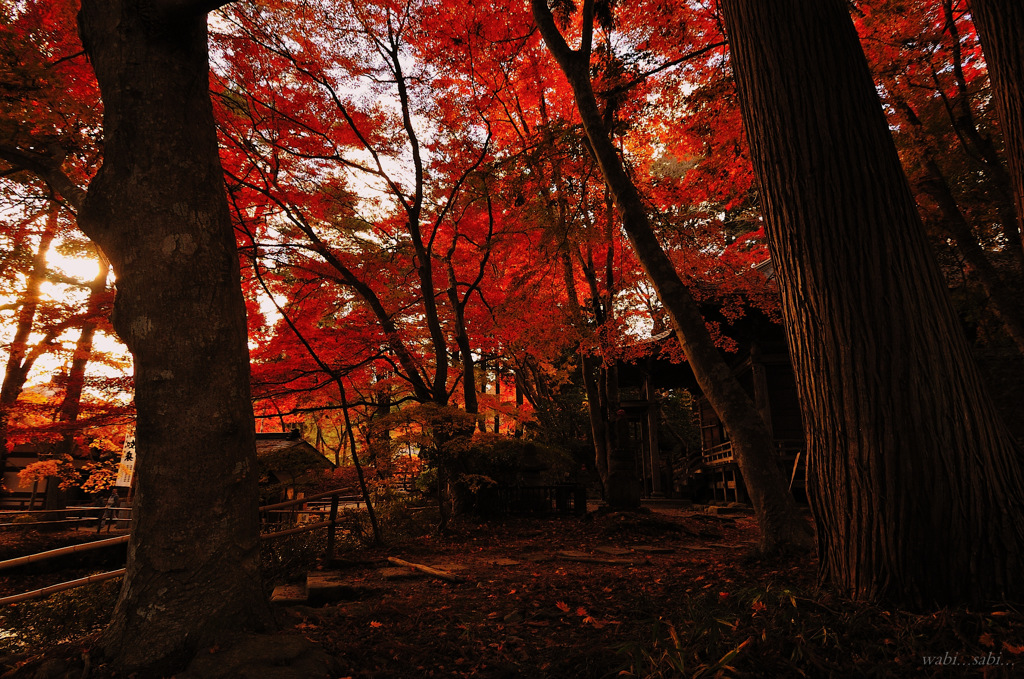 wabi...sabi...