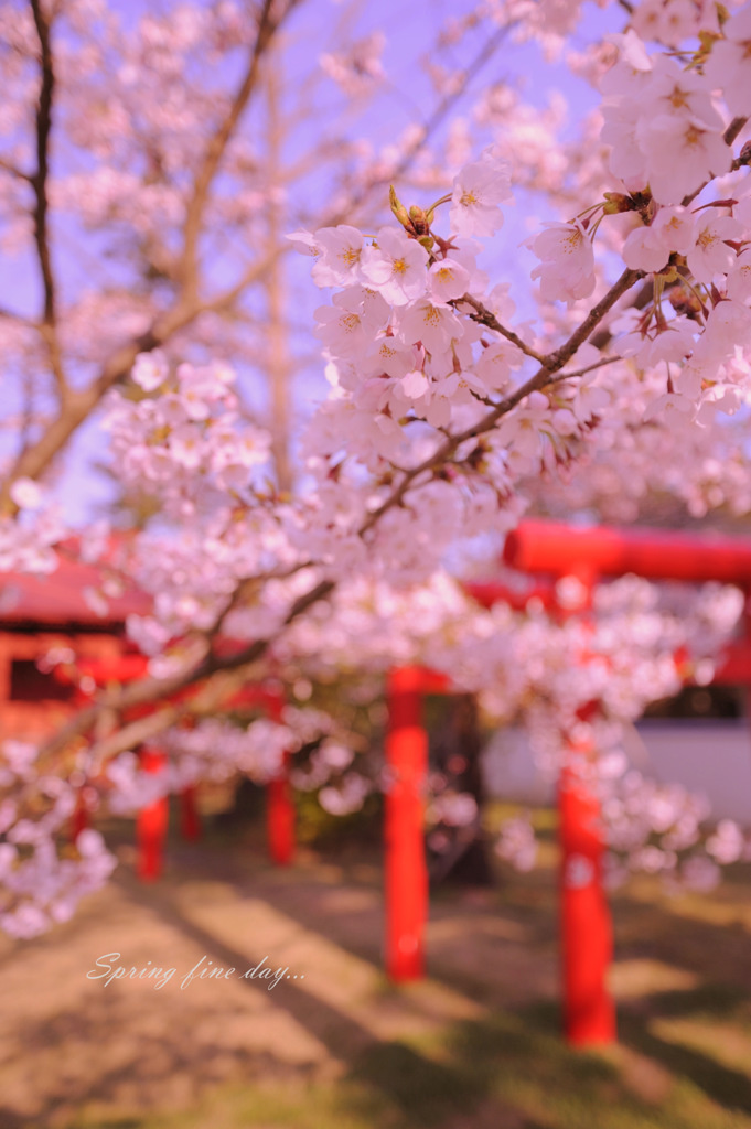 Spring fine day...